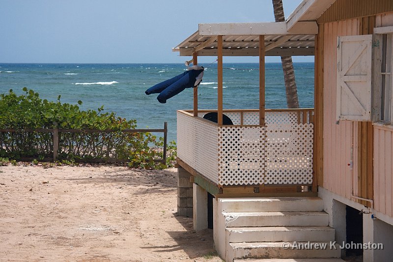 0410_40D_0609.jpg - "Hung Out To Dry"Bath Beach, East Coast, Barbados